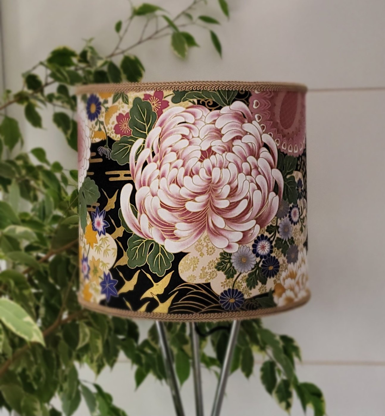 Chrysanthème de minuit — vue 1