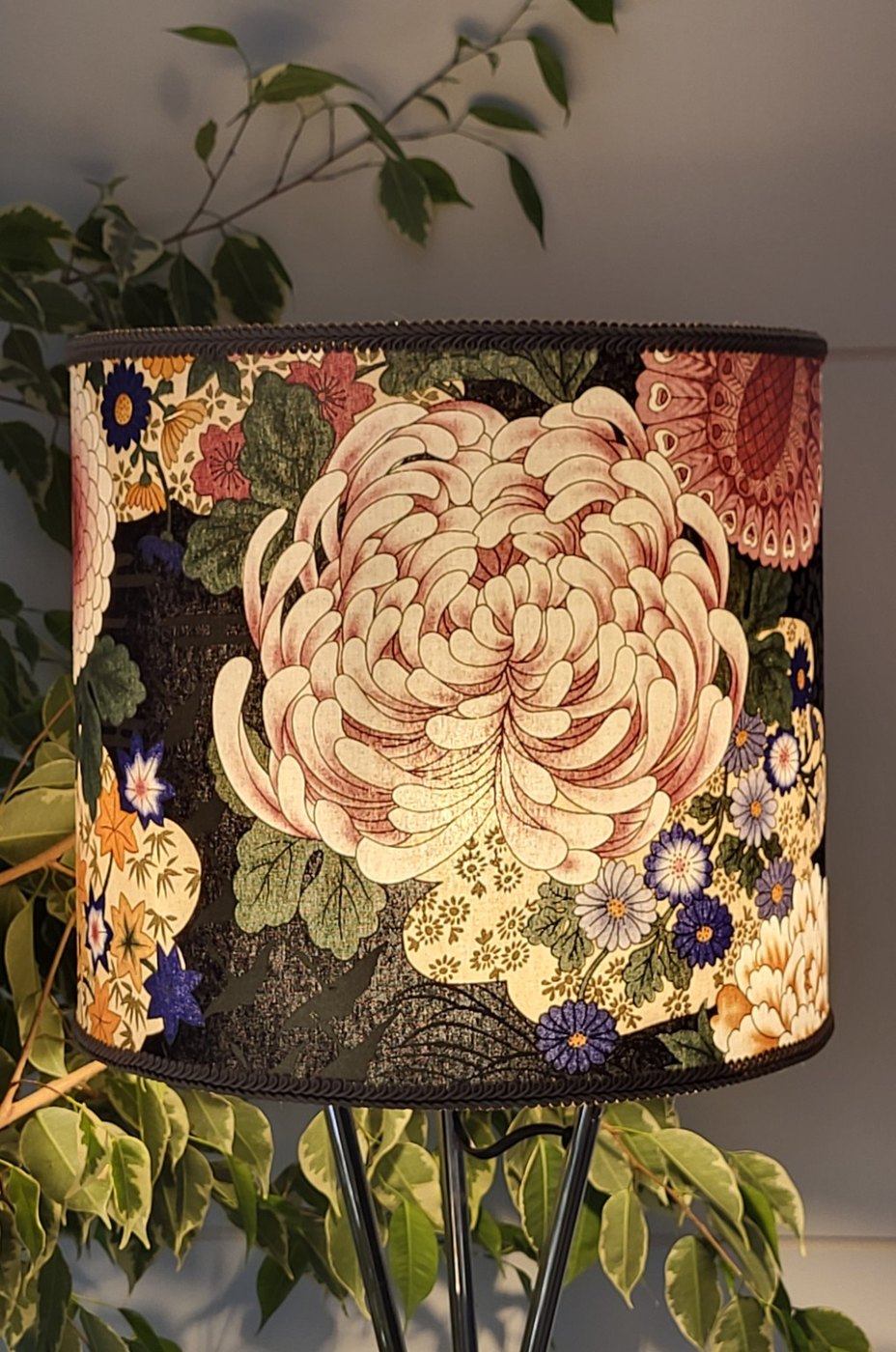 Chrysanthème de minuit — vue 2
