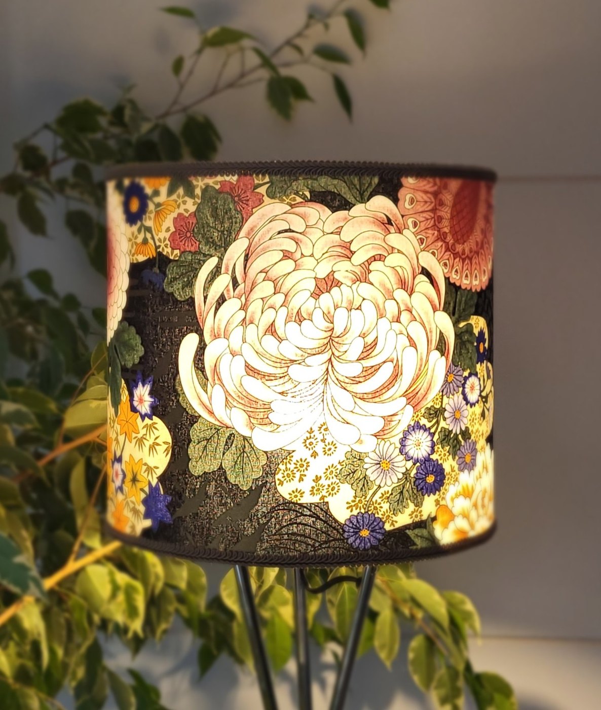 Chrysanthème de minuit — vue 3