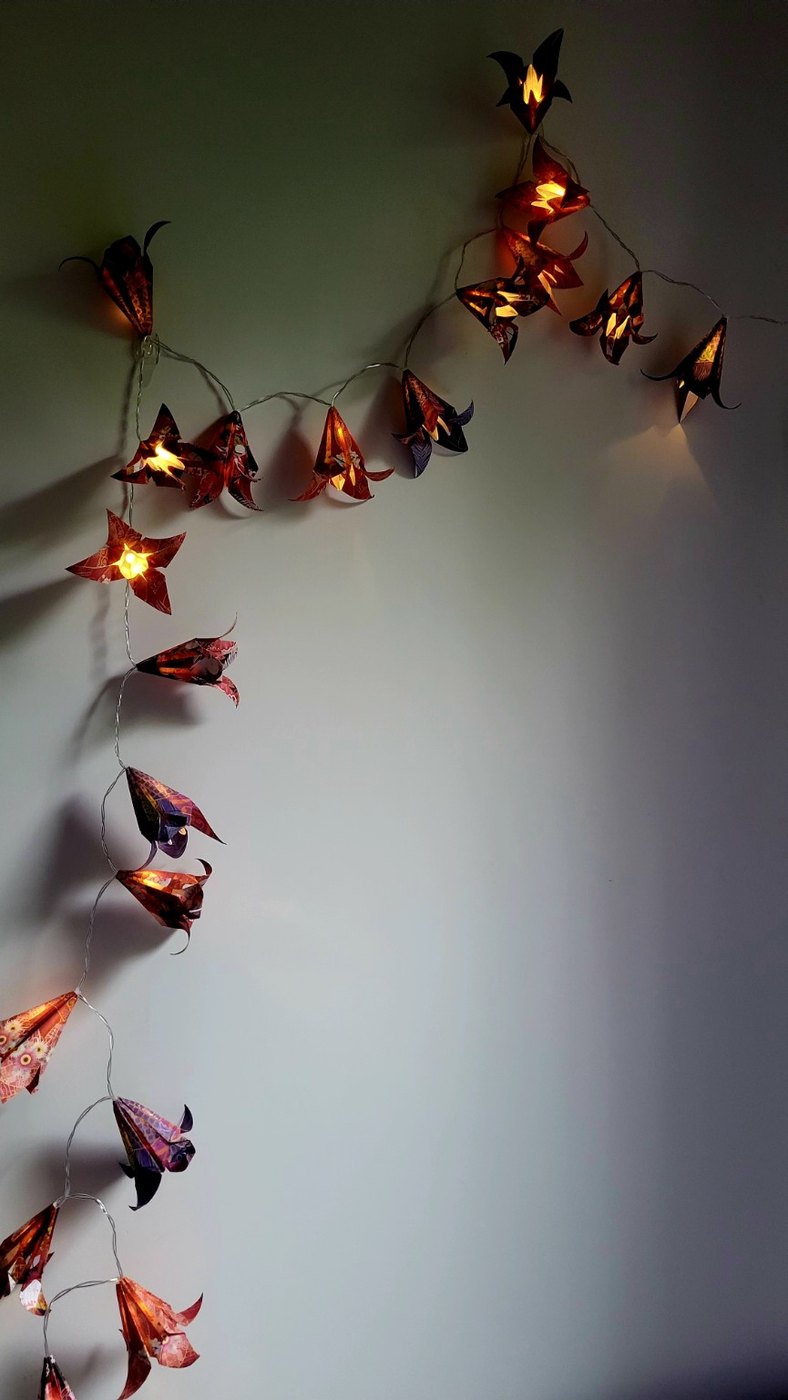 Jardin nocturne — vue 1
