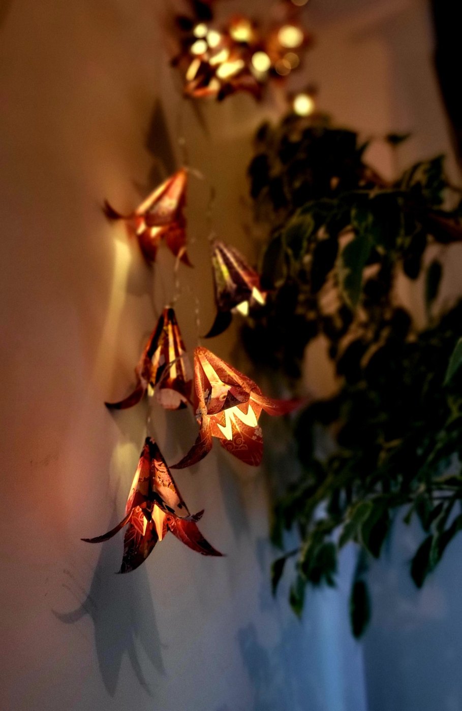 Jardin nocturne — vue 2