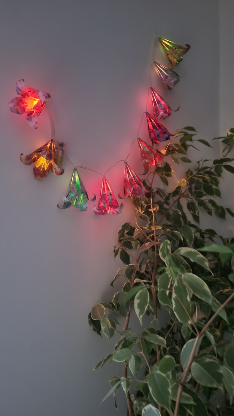 Jardin tropical — vue 1
