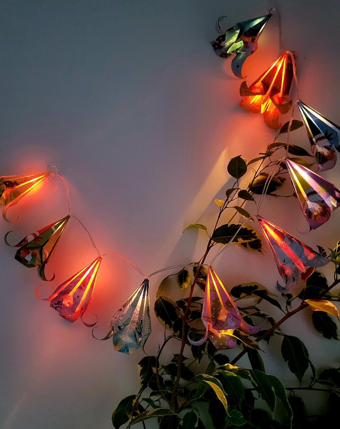 Jardin tropical — vue 3
